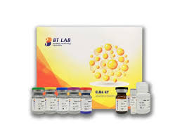 Human Tumor Necrosis Factor Αlpha, TNF-A ELISA Kit